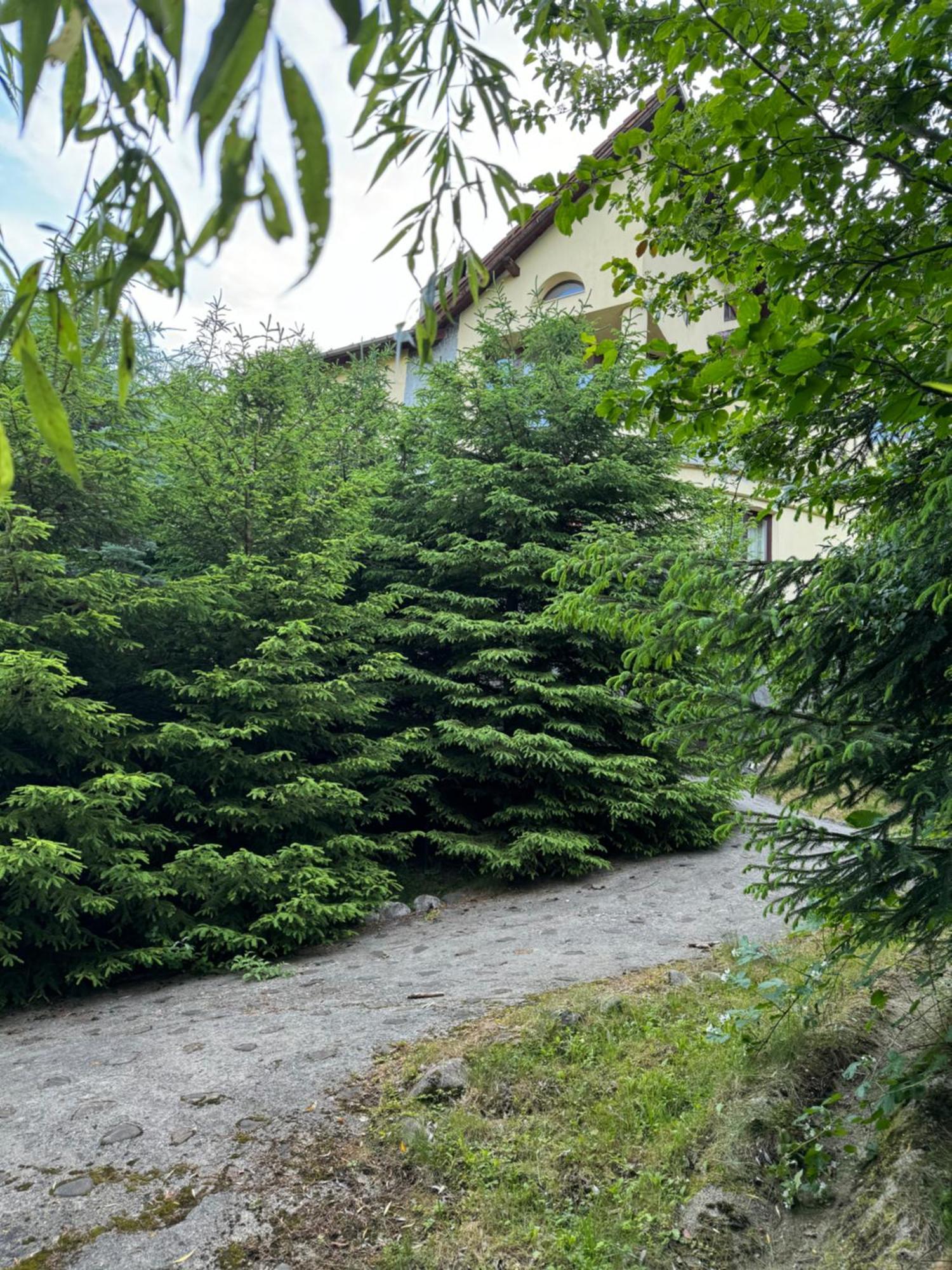 Pensiunea Ego 브란 외부 사진